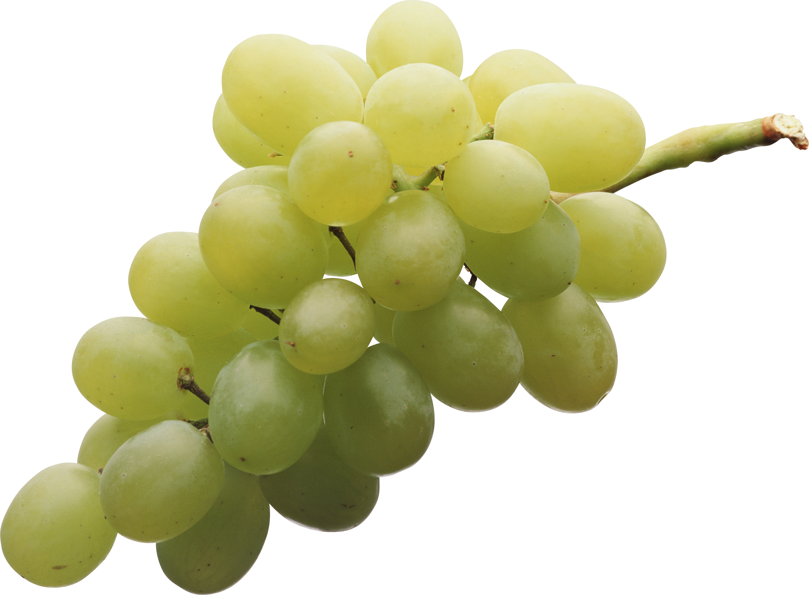 Green Grape Png Image - Grapes Png (2804x2063), Png Download