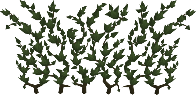File - Ivy - Ivy Rs (640x313), Png Download