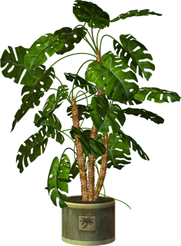 Pot Plant Clipart Transparent - Plants In Pots Png (368x500), Png Download