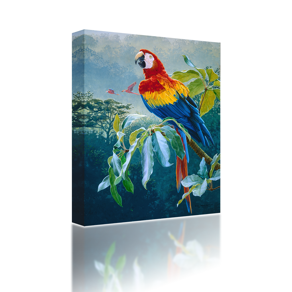 Parrot On A Branch (1024x1024), Png Download
