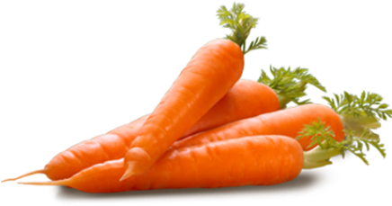 Carrot - Stx International Stx-1000-ce Chef S Elite 15 Minute (510x510), Png Download