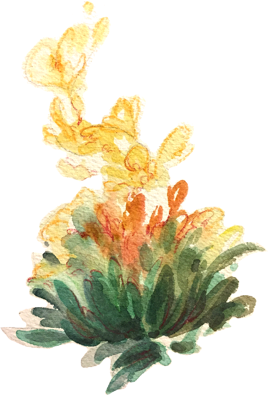 A Study Of Tea Leaves - Drawing (1000x1407), Png Download