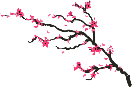 Drawn Cherry Blossom Transparent - Cherry Blossom Drawing Png (500x364), Png Download
