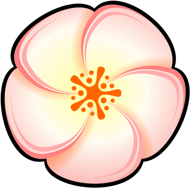 Peach Watercolor Painting Flower Pastel - Drawing (757x750), Png Download