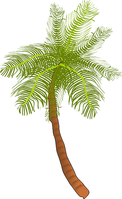 Palm, Tree, Ocean, Summer, Vacation, Beach, Palm Leaf - Coconut Tree Clip Art (393x640), Png Download