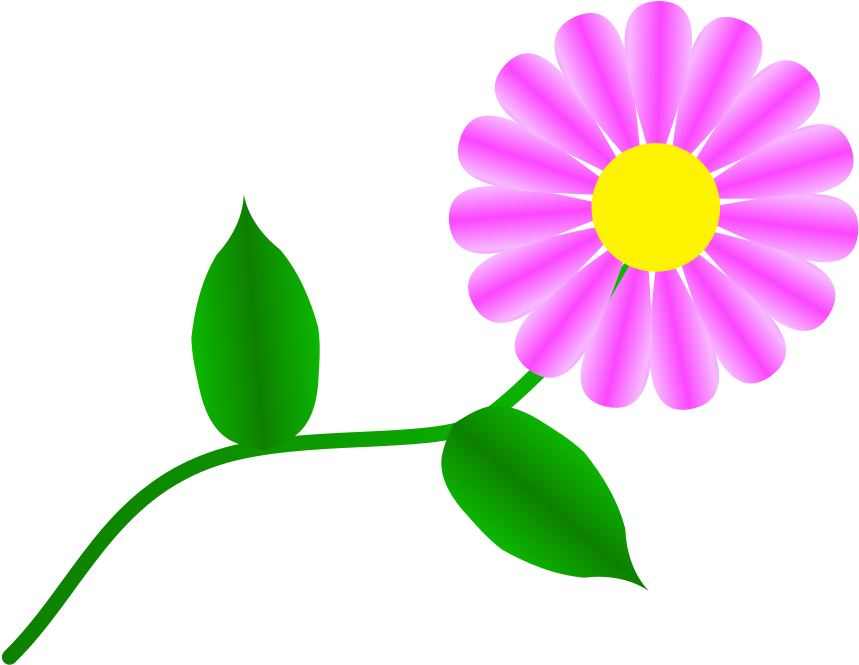 This Free Clipart Png Design Of Daisy Fuchsia (900x720), Png Download