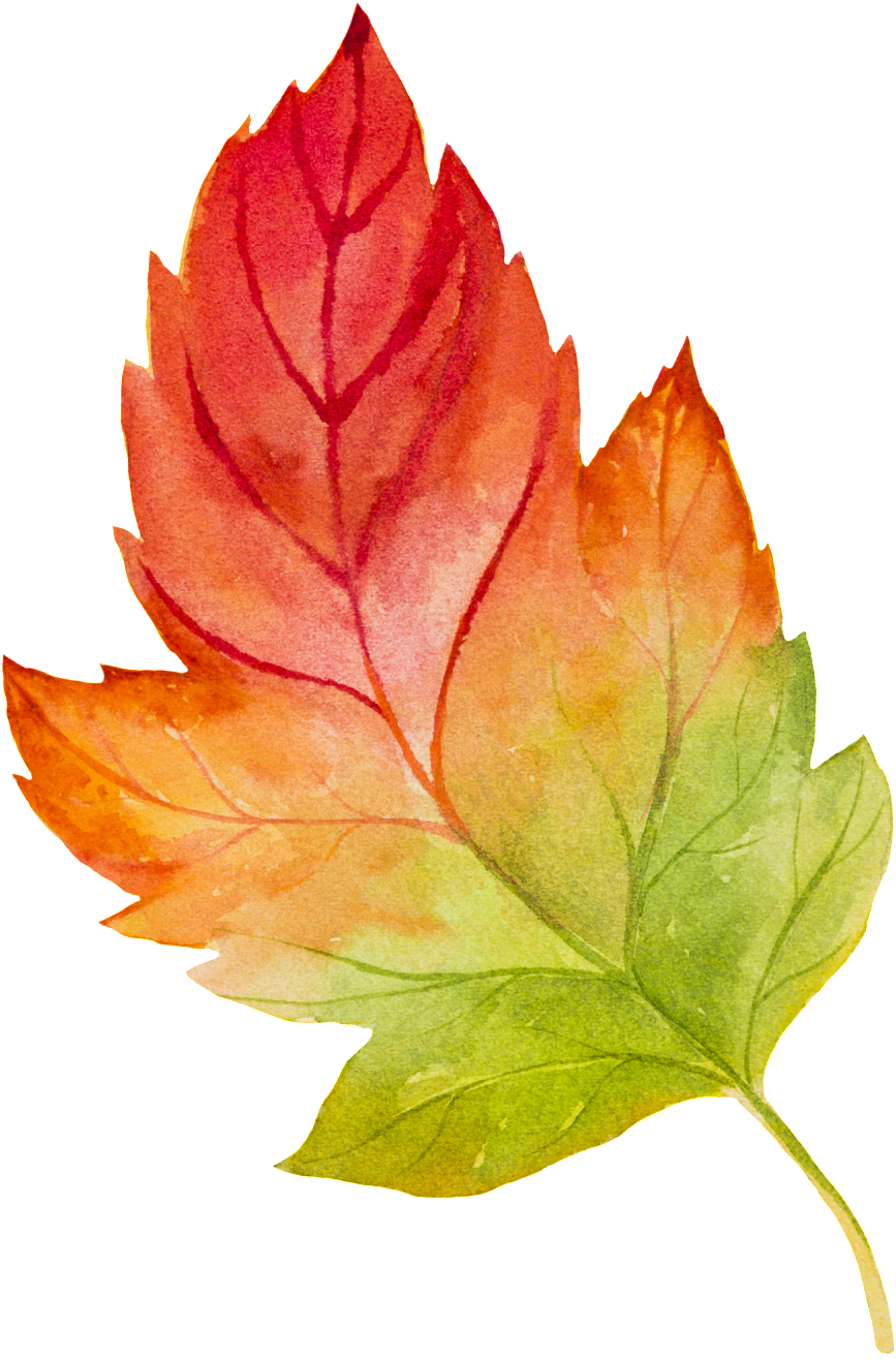 This Graphics Is Hand Painted Watercolor Gradient Leaves - Vector Graphics (1024x1421), Png Download