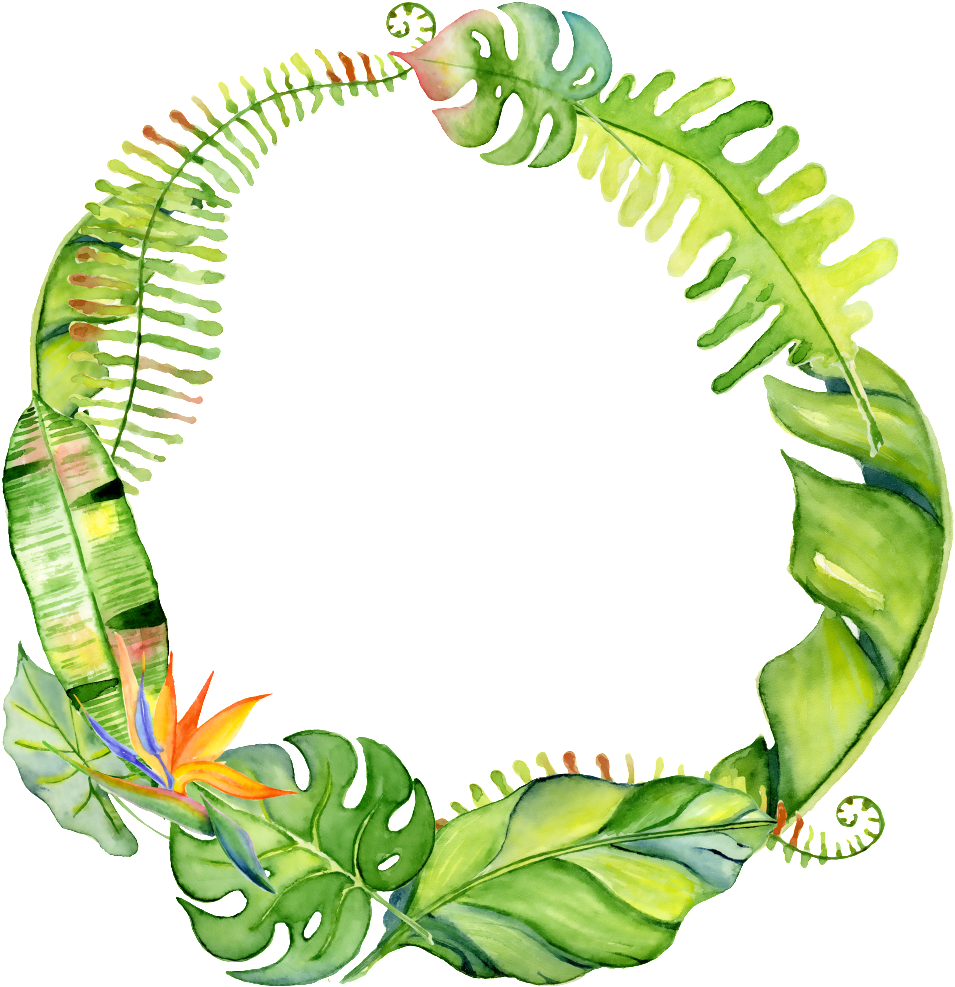 This Graphics Is Hand Drawn Circle Png Transparent - Leaves Circle Png (1024x1024), Png Download