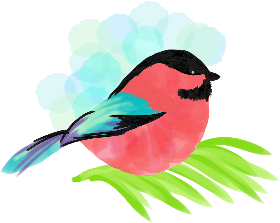 About Chickadee Vacations - Songbird (1067x800), Png Download