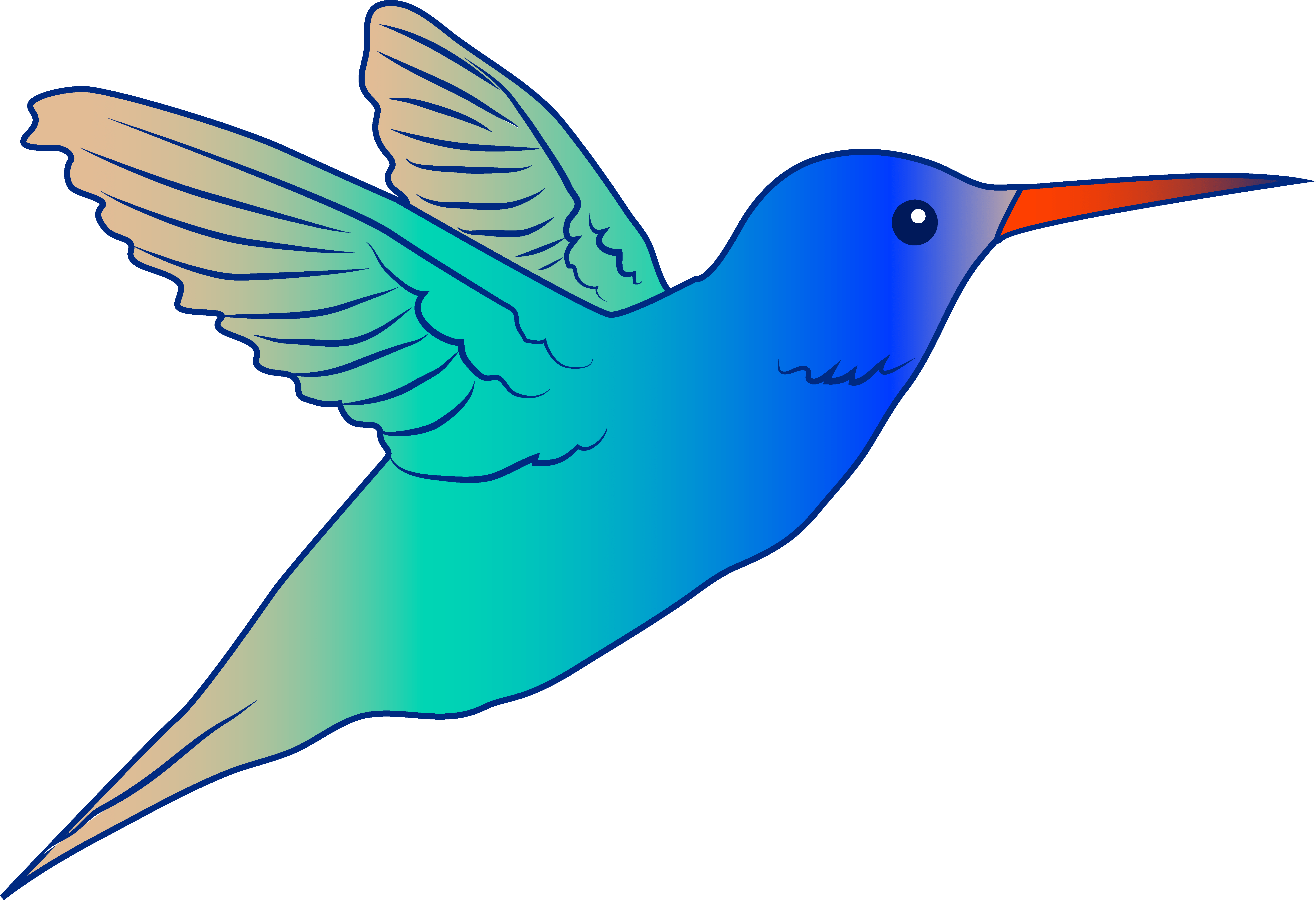 Cute Parrot Clipart Flying Bird Hummingbird Illustration - Hummingbird Drawing Clip Art (5275x3613), Png Download