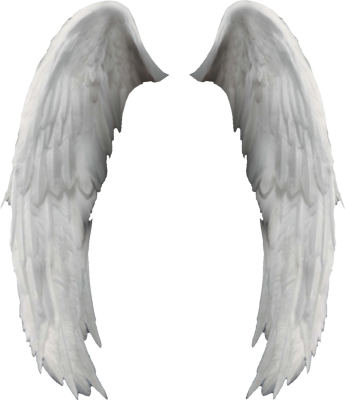 Angel Wings Png - 3d Angel Wings Png (345x400), Png Download