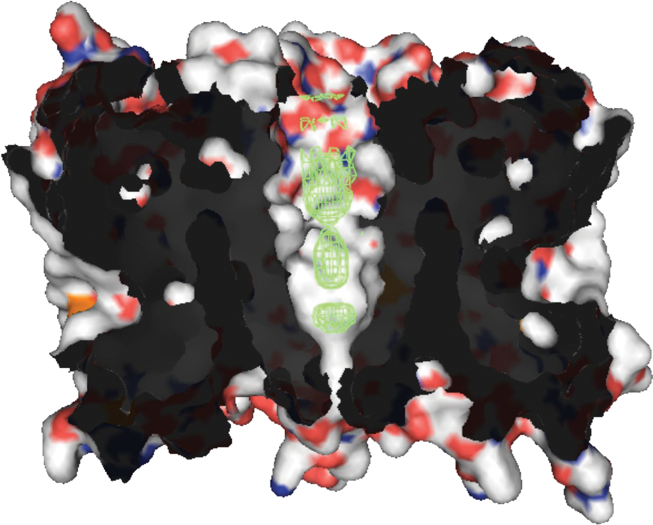 Aquaporin Z - Aquaporin Quaternary Structure (1292x1043), Png Download