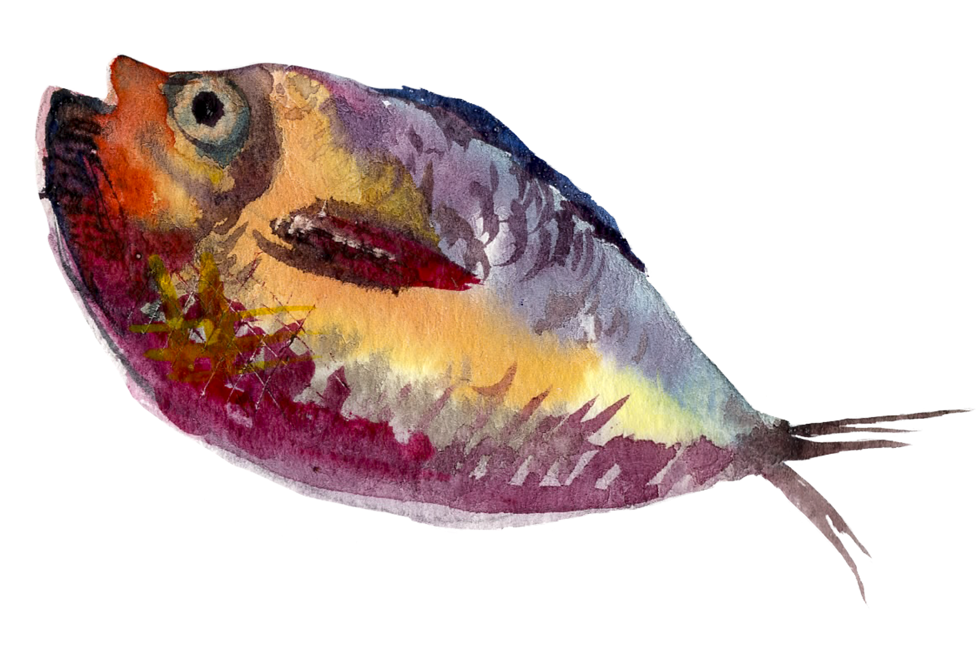 Vector Freeuse Library Painting Illustration Water - Fish Painting Png (3000x3000), Png Download
