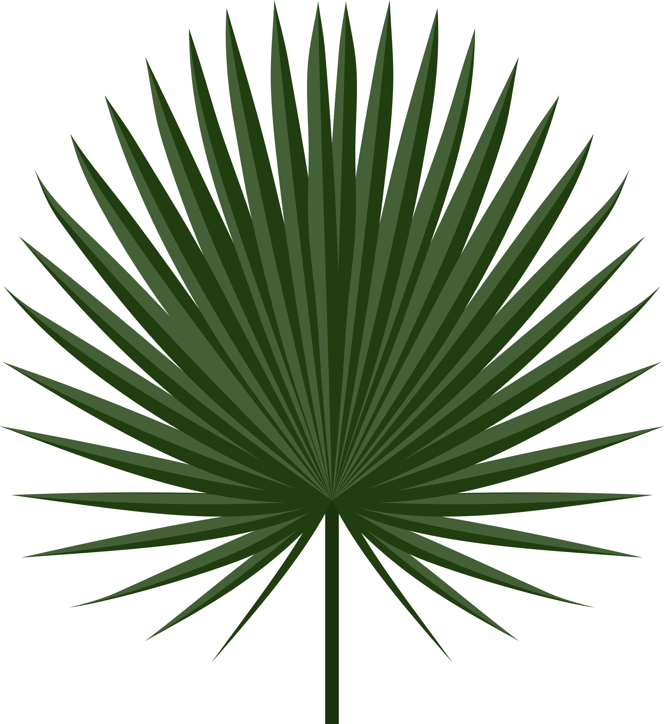 Sabal Leaf Icons Png - Palmleaf Png (2200x2400), Png Download
