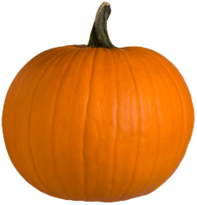 Hq Pumpkin Png Transparent Pumpkin - Pumpkin Png (384x400), Png Download