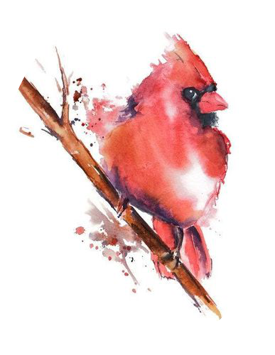 [watercolor Painting] Watercolor Animals, Watercolor - Watercolor Cardinal Art (387x500), Png Download