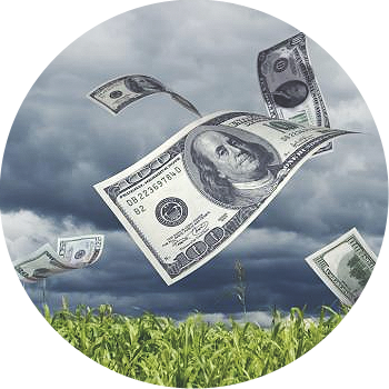 The Money Magnet Exercise - Entrepreneurs Guide To Business (350x350), Png Download