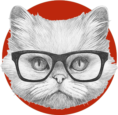 Cat Grooming Regina3 - Gato Persa Con Gafas (500x500), Png Download