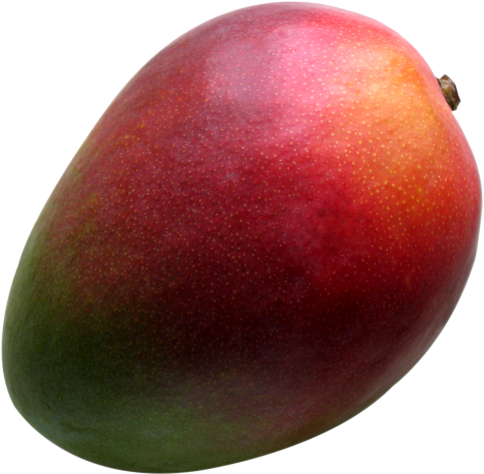 Download Fresh Mango Fruit Png Image - Mango (500x492), Png Download