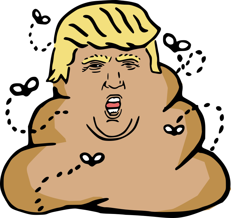 Dump Medium Image Png - Donald Trump Poop Emoji (800x752), Png Download