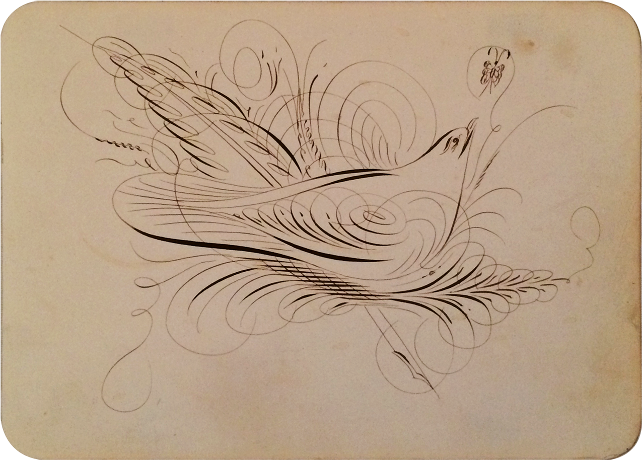 Dove And Butterfly American Circa 1830-40 - Sketch (1400x1400), Png Download