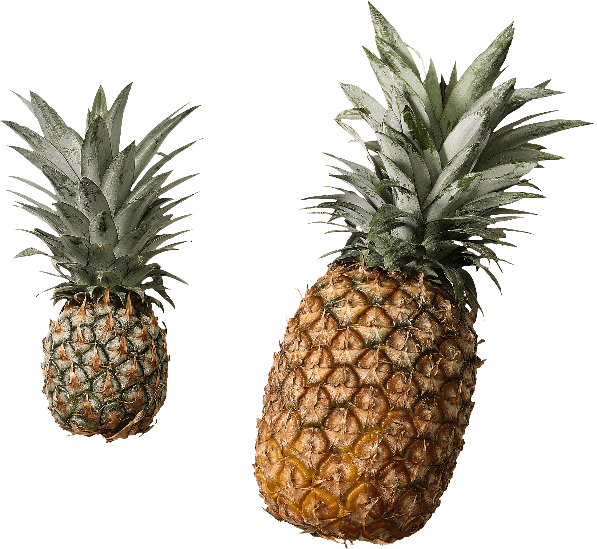 Fruits - Fresh And Canned Pineapple (1940x1785), Png Download