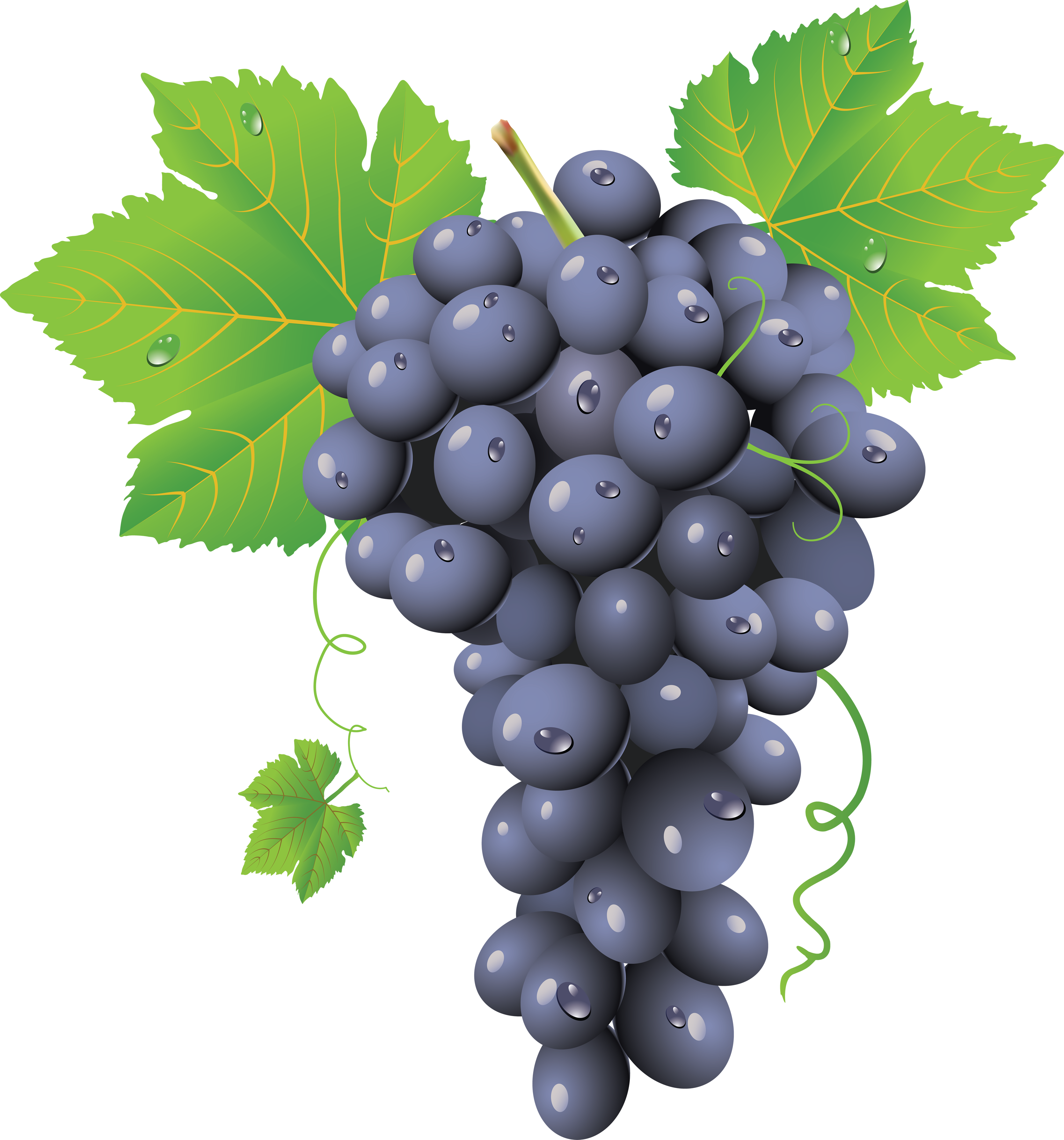 Une Grappe De Raisin (3338x3577), Png Download
