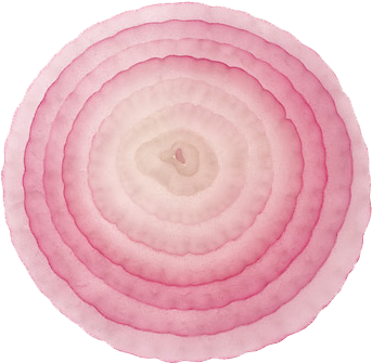 Onion Slice Png File - Onion Slice Png (468x400), Png Download