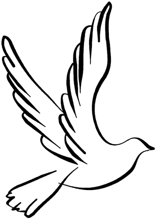 White Dove Clipart Dove Open Wing - Dove Line Drawing (800x800), Png Download