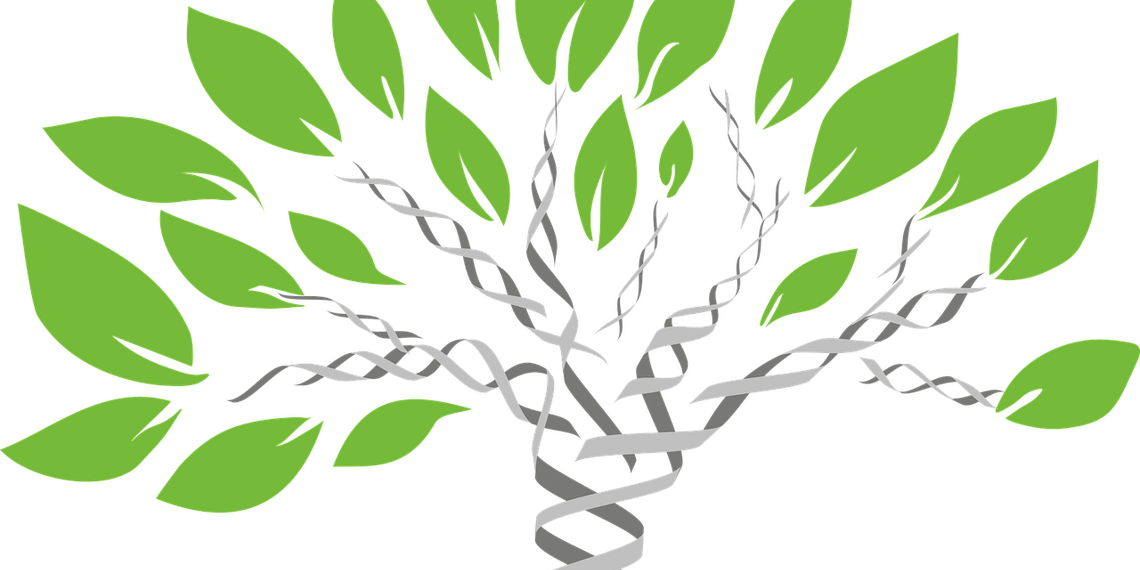 Have A Dna Test Or, Maybe Not - Dna Barcoding In Plant (1140x570), Png Download