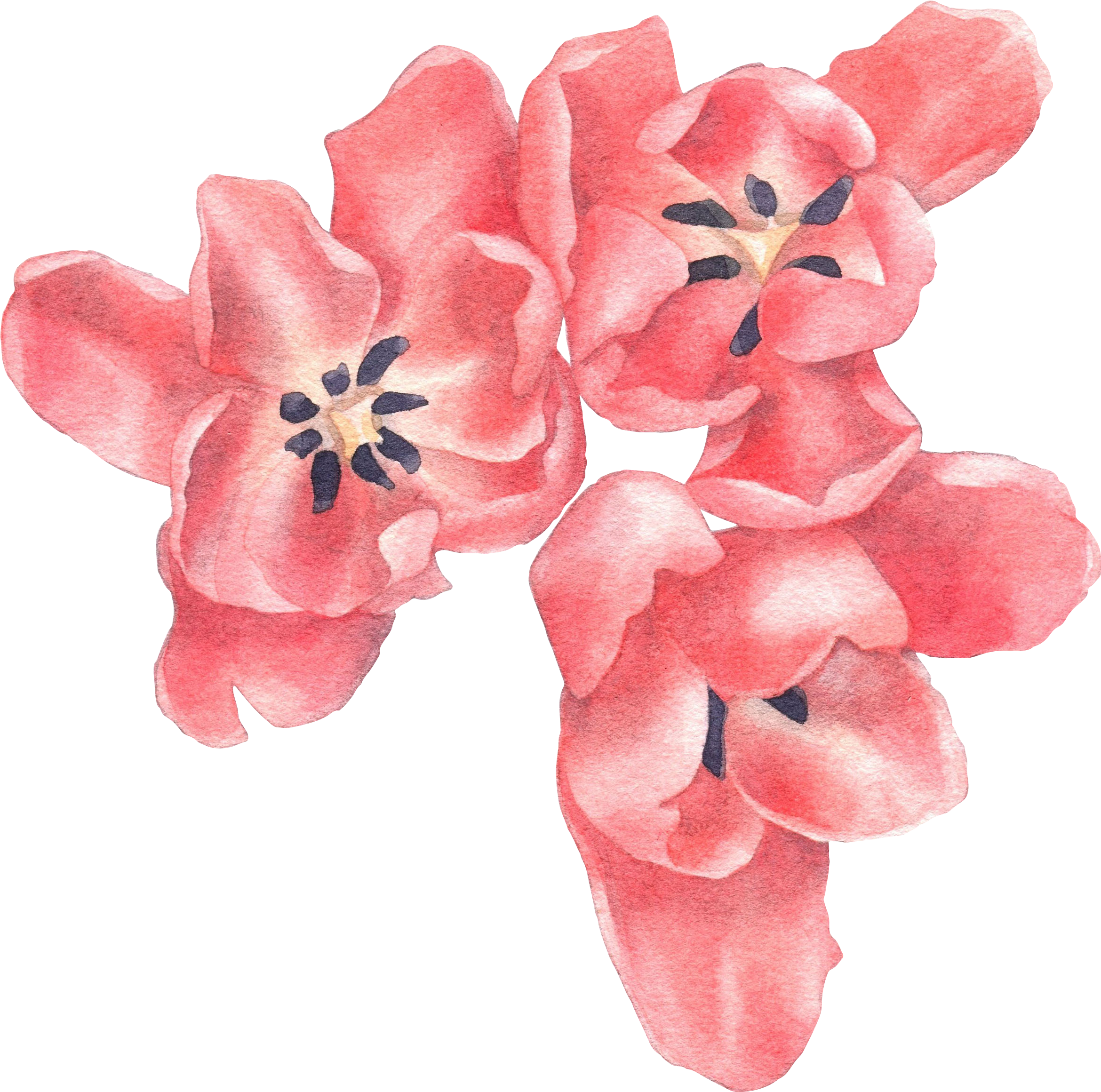 My Story - Eleven (2532x2513), Png Download