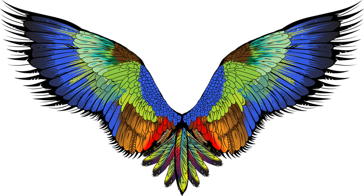 Angel Wings Png - She Flies She Flies Square Sticker 3" X 3" (750x404), Png Download
