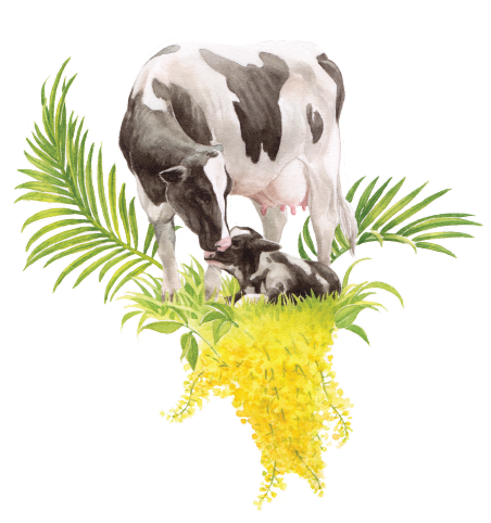 Hatsun Agro Products Ltd (451x493), Png Download
