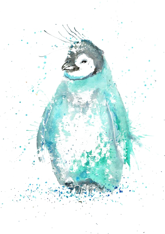 Penguin Watercolor Painting Drawing Illustration - Jamie T Art Penguin (564x797), Png Download