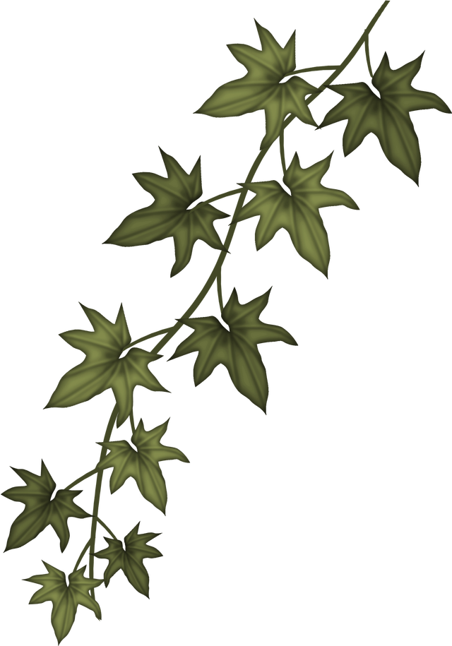 Ivy Clip Art Free - Sizzix Garden Greens Thinlits Dies (640x915), Png Download
