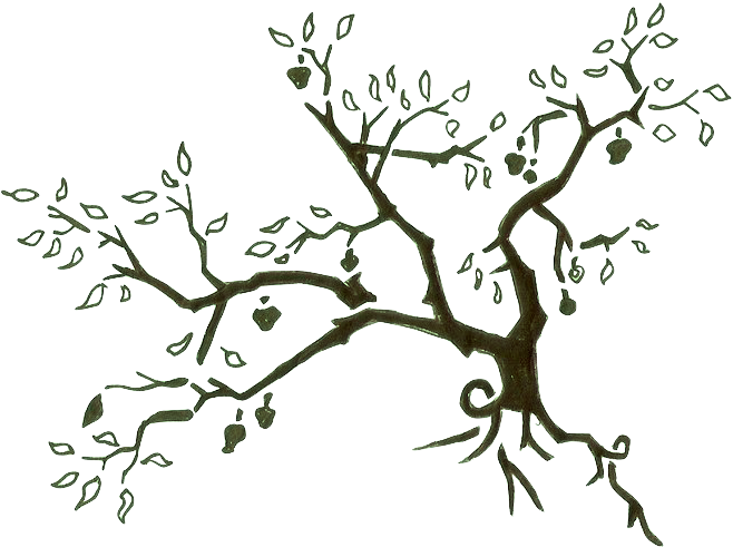 Tribal Apple Tree By Samrow - May 23 (678x561), Png Download