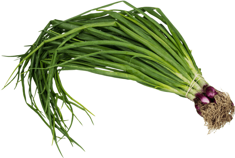 Free Png Scallion Spring Onion Png Images Transparent - Png Images Of Spring Onion (850x580), Png Download