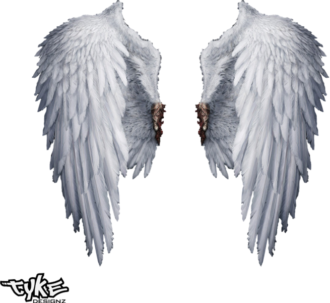 Angel Wings Png Transparent - Real White Angel Wings Png (655x600), Png Download