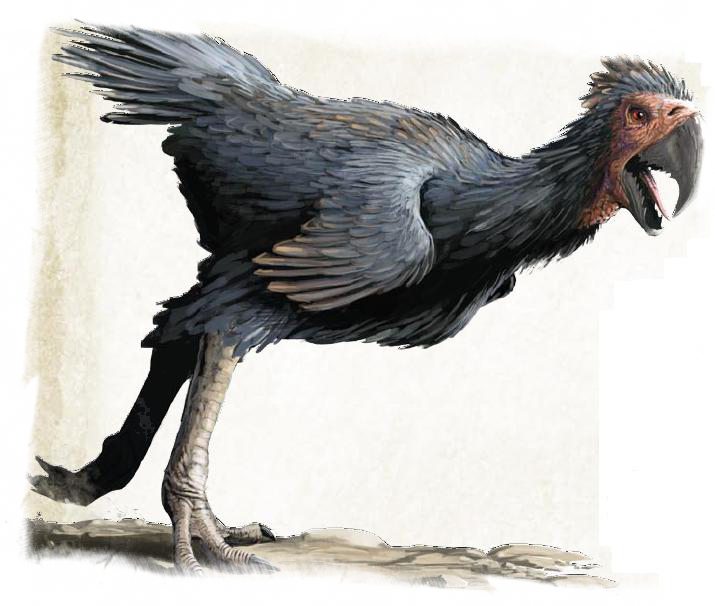 As The Paladin And Rogue Make Their Way To Glassmoor, - Axe Beak Dungeons And Dragons (715x606), Png Download