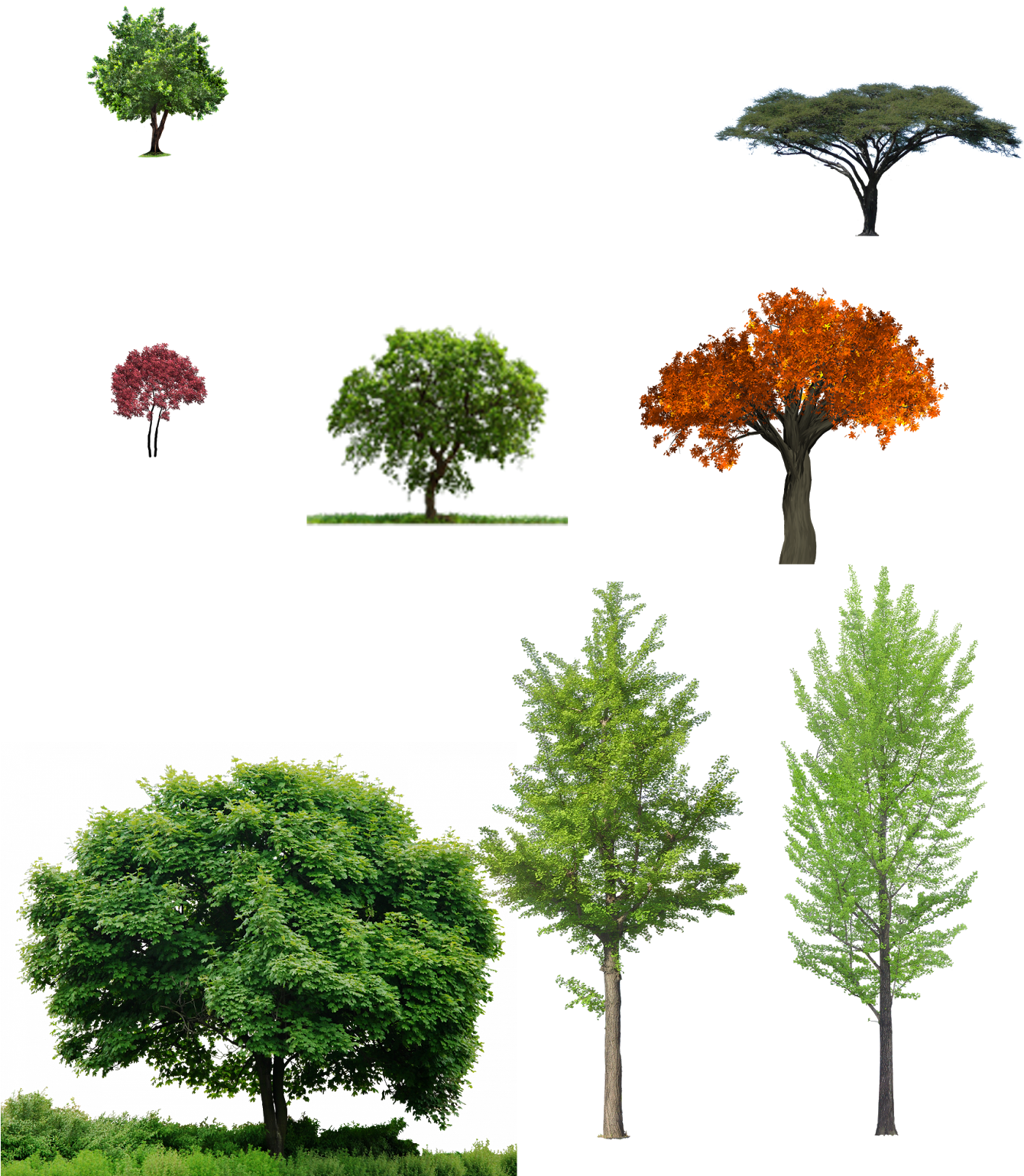 Trees - Png Tree For Photoshop (1346x1600), Png Download