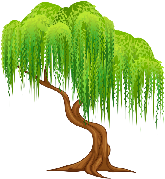 Tree Clipart - Weeping Willow Tree Clipart (556x600), Png Download