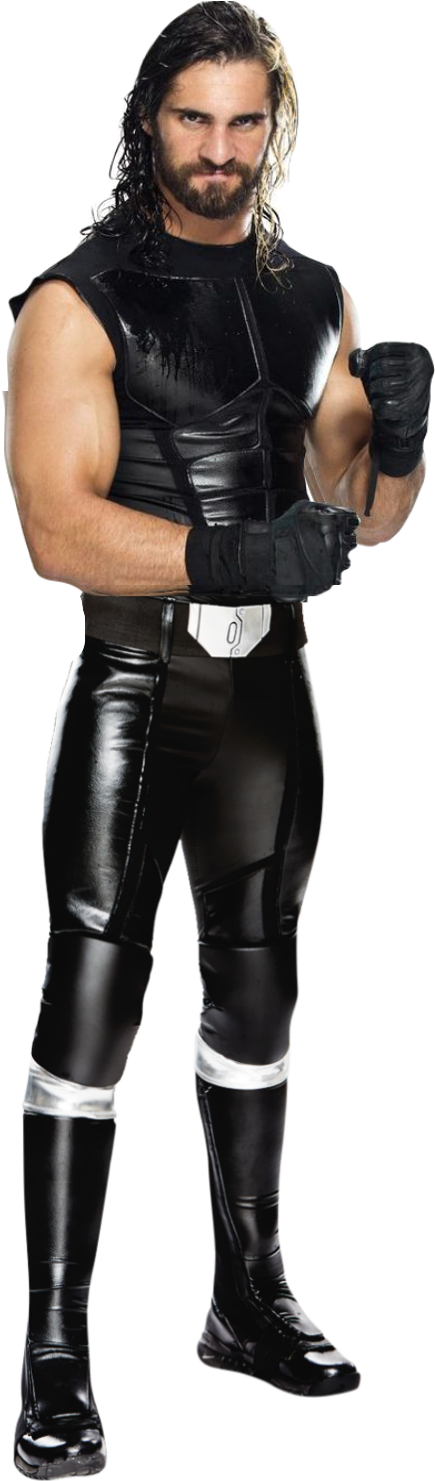 Seth Rollins Wwe - De Seth Rollins De Wwe (454x1502), Png Download