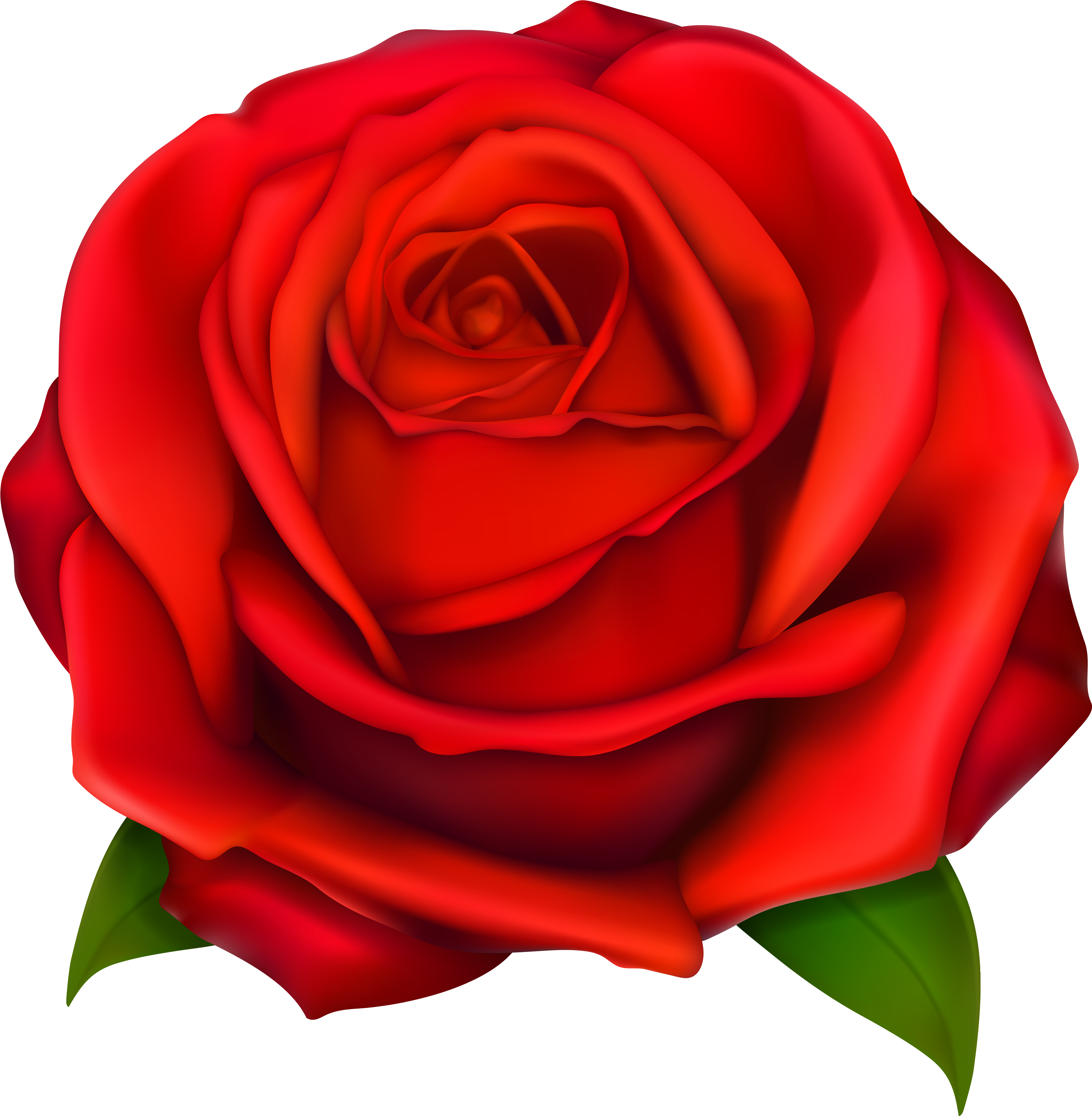 Clipart Library Stock Image Of Clip Art Red Roses Images (4084x4136), Png Download