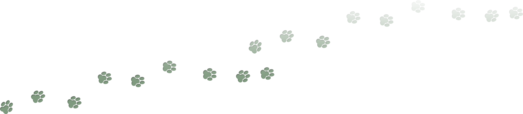 Banner Heartbeat Clipart - Clip Art (1134x245), Png Download