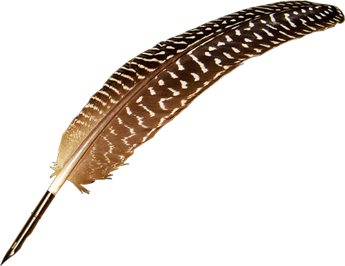 Picture Suggestion For Quill Pen Png - Umbrella (500x385), Png Download