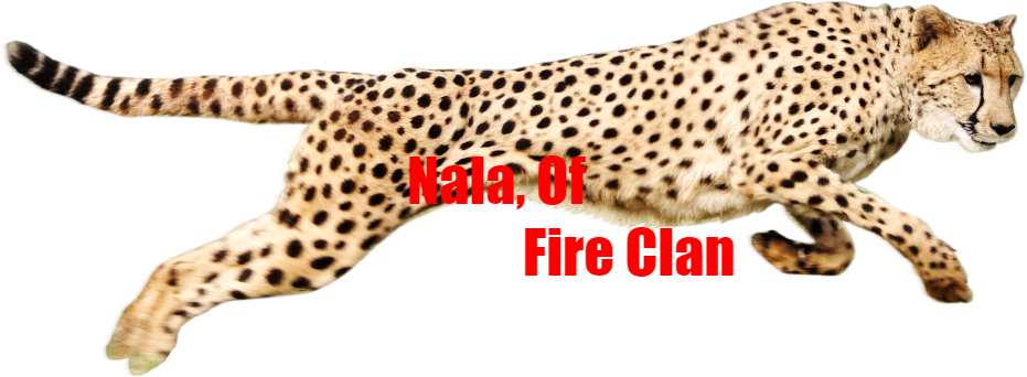 Nala - Cheetah Png (931x342), Png Download