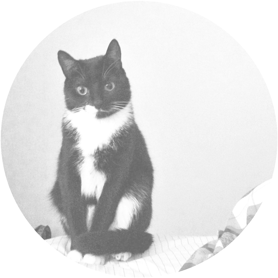 Nala (1000x1000), Png Download