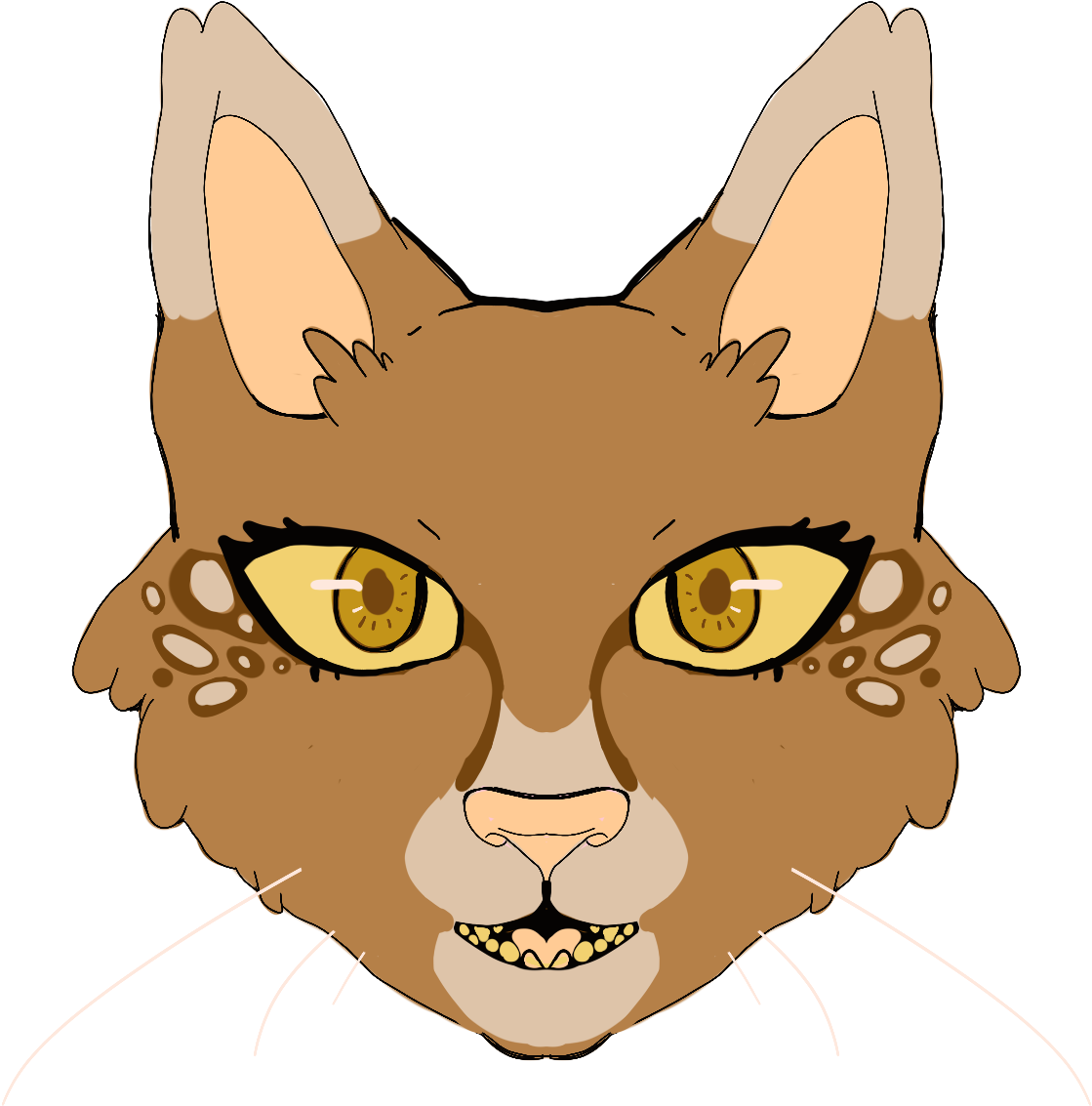 Recent Images - Abyssinian (2048x2048), Png Download