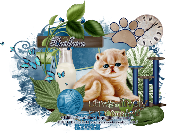 Nala Kitty - Kitten (653x511), Png Download