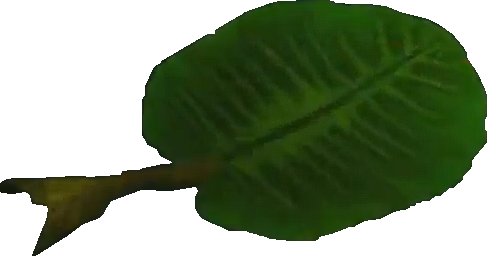 Crash Bandicoot Leaf - Angel Tube Station (487x256), Png Download